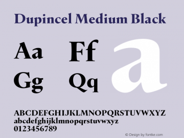 DupincelMedium-Black Version 1.000图片样张