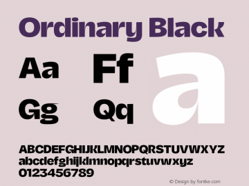 Ordinary Black Version 2.000;FEAKit 1.0图片样张