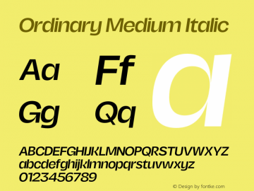 Ordinary Medium Italic Version 2.000;FEAKit 1.0图片样张