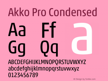 Akko Pro Condensed Version 1.00图片样张