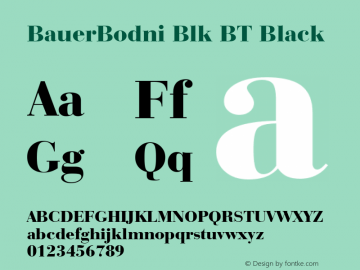 BauerBodni Blk BT Black Version 1.01 emb4-OT图片样张