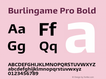 Burlingame Pro Bold Version 1.000图片样张