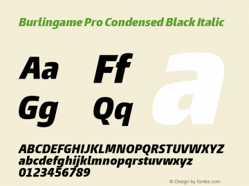Burlingame Pro Cond Black It Version 1.000图片样张