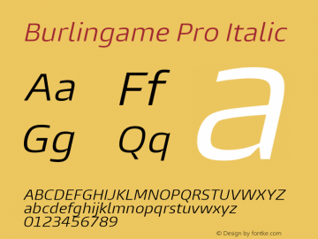 Burlingame Pro Italic Version 1.000图片样张