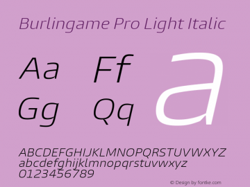 Burlingame Pro Light Italic Version 1.000图片样张
