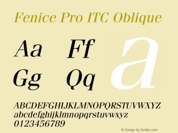 FeniceProITC-Oblique Version 3.000 Build 1000图片样张