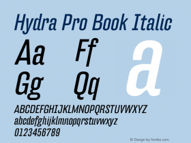 HydraPro-BookItalic Version 7.504; 2012; Build 1021图片样张