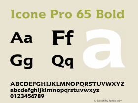 Icone Pro 65 Bold Version 2.00 Build 1000图片样张