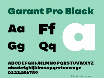 Garant Pro Black Version 2.200;hotconv 1.0.109;makeotfexe 2.5.65596图片样张