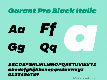 Garant Pro Black Italic Version 2.200;hotconv 1.0.109;makeotfexe 2.5.65596图片样张