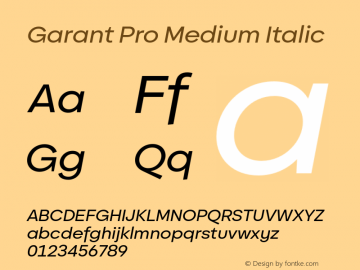 Garant Pro Medium Italic Version 2.200;hotconv 1.0.109;makeotfexe 2.5.65596图片样张