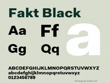 Fakt-Black Version 4.001; build 0006图片样张