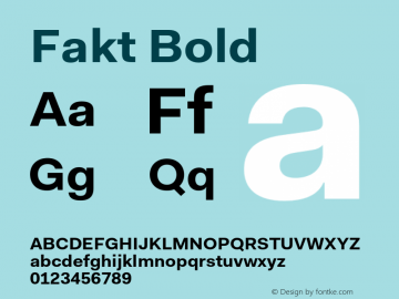 Fakt-Bold Version 4.001; build 0006图片样张