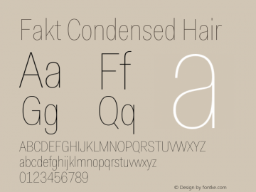 Fakt-CondensedHair Version 4.001; build 0006图片样张