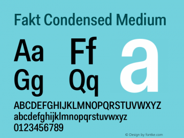 Fakt-CondensedMedium Version 4.001; build 0006图片样张