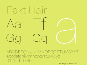 Fakt-Hair Version 4.001; build 0006图片样张