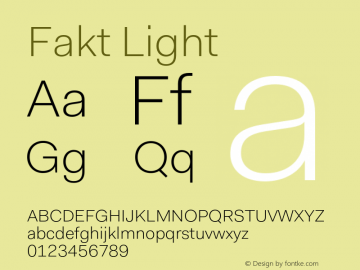 Fakt-Light Version 4.001; build 0006图片样张