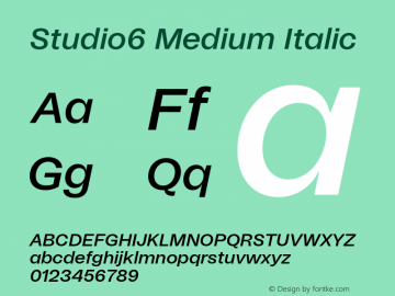 Studio6 Medium Italic Version 1.002;hotconv 1.0.109;makeotfexe 2.5.65596图片样张