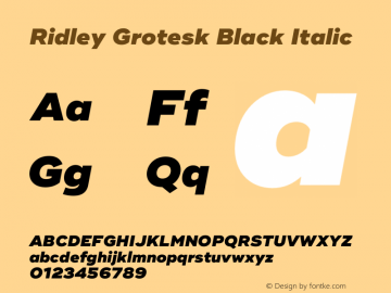 RidleyGrotesk-BlackItalic Version 1.000;PS 001.000;hotconv 1.0.88;makeotf.lib2.5.64775图片样张