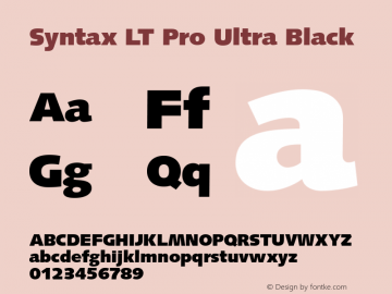 Syntax LT Pro UltraBlack Version 2.000 Build 1000图片样张