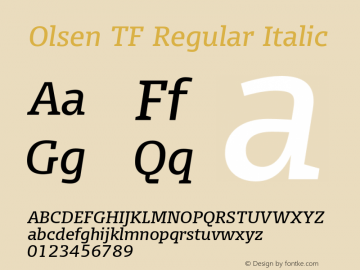 Olsen TF Regular Italic 004.301图片样张