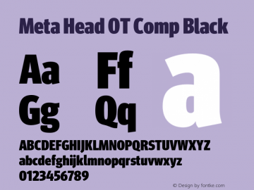 Meta Head OT Comp Black Version 7.600, build 1027, FoPs, FL 5.04图片样张