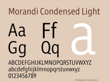 Morandi Cond Light Version 1.22, build 12, s3图片样张