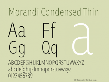 Morandi Cond Thin Version 1.22, build 12, s3图片样张