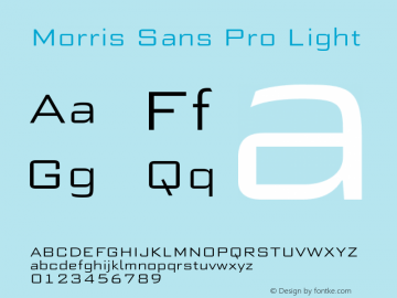 MorrisSansPro-Light Version 1.00图片样张