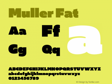 Muller-Fat Version 1.000;PS 001.000;hotconv 1.0.88;makeotf.lib2.5.64775图片样张