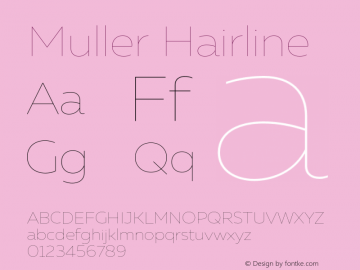 Muller-Hairline Version 1.000;PS 001.000;hotconv 1.0.88;makeotf.lib2.5.64775图片样张