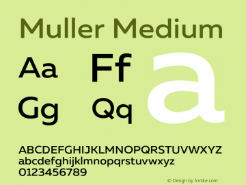 Muller-Medium Version 1.000;PS 001.000;hotconv 1.0.88;makeotf.lib2.5.64775图片样张