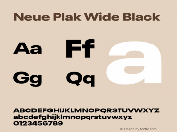 Neue Plak Wide Black Version 1.00, build 9, s3图片样张