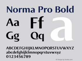 NormaPro-Bold Version 1.000;PS 001.000;hotconv 1.0.38图片样张