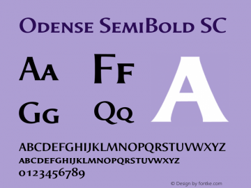 Odense SemiBold SC Version 1.00图片样张