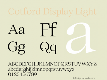 Cotford Display Light Version 1.00图片样张