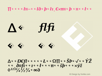 Parable-BoldItalicExpert Regular 004.301图片样张