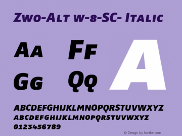 Zwo-Alt w-8-SC- Italic 4.313图片样张