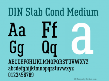 DIN Slab Cond Medium Version 1.00图片样张