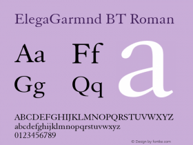 ElegaGarmnd BT Roman Version 1.01 emb4-OT图片样张