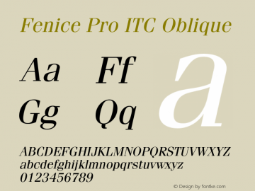 FeniceProITC-Oblique Version 3.000 Build 1000图片样张
