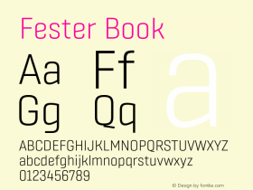 Fester Book Version 1.000;FEAKit 1.0图片样张