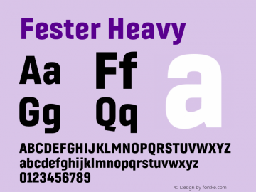 Fester Heavy Version 1.000;FEAKit 1.0图片样张
