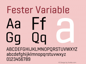 Fester Variable Version 1.000;FEAKit 1.0图片样张