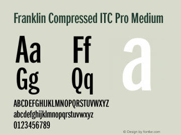 FranklinCompITCPro-Medium Version 1.01图片样张