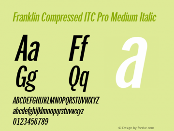 FranklinCompITCPro-MediumIta Version 1.01图片样张