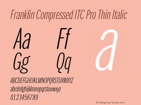 FranklinCompITCPro-ThinIta Version 1.01图片样张