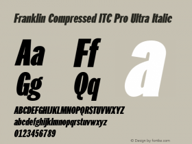 FranklinCompITCPro-UltraIta Version 1.01图片样张