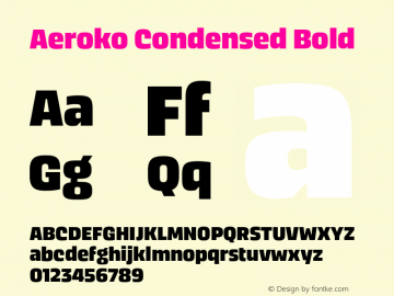 Aeroko Condensed Bold Version 1.00图片样张