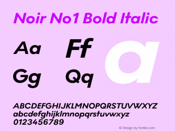 Noir No1 Bold Italic Version 0.009;PS 000.009;hotconv 1.0.88;makeotf.lib2.5.64775图片样张